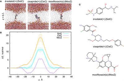 Digging into <mark class="highlighted">Lipid Membrane</mark> Permeation for Cardiac Ion Channel Blocker d-Sotalol with All-Atom Simulations